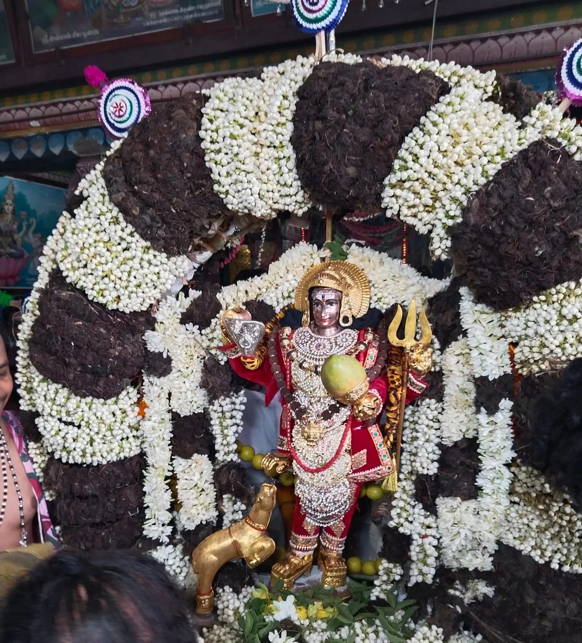 மாங்கனிகளை வாரி இறைத்து பக்தர்கள் வழிபாடு: காரைக்கால் அம்மையார் கோயிலில் மாங்கனித் திருவிழா கோலாகலம்!