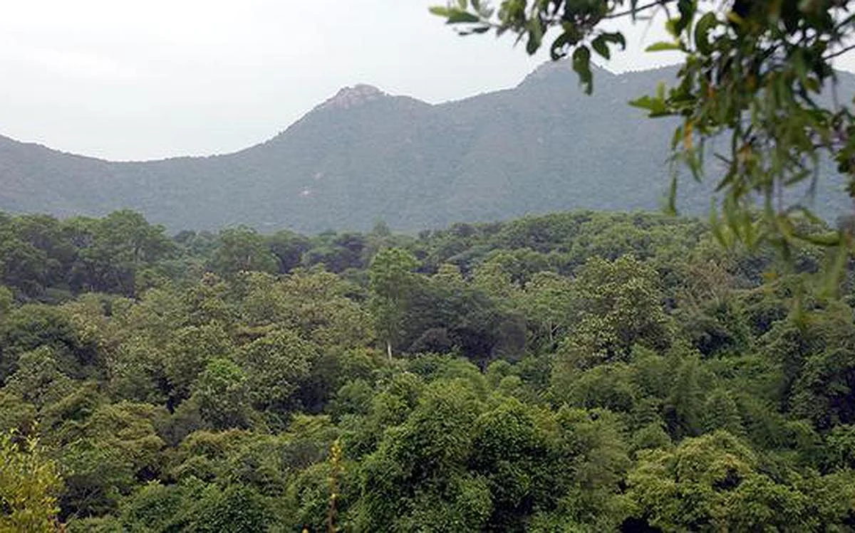 வனம் அல்லாத பணிகளுக்கு மாற்றப்பட்ட வனநிலங்கள்: மத்திய அரசு அதிர்ச்சி தகவல்!