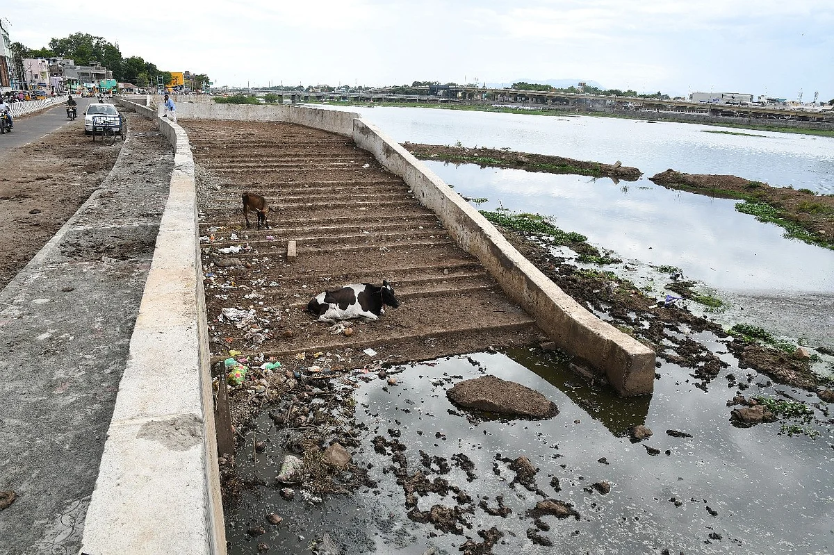 சாலைகளுக்காக அழிக்கப்பட்ட பாரம்பரிய படித்துறைகள்: அழகைத் தொலைத்த மதுரை வைகை ஆறு