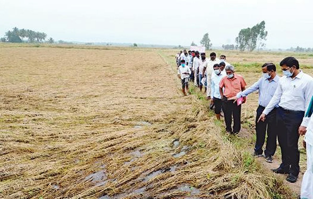 விவசாயிகளுக்கு மகிழ்ச்சியான செய்தி: மழையால் பாதிக்கப்பட்ட பயிர்களுக்கு இழப்பீடு வழங்குகிறது தமிழக அரசு!