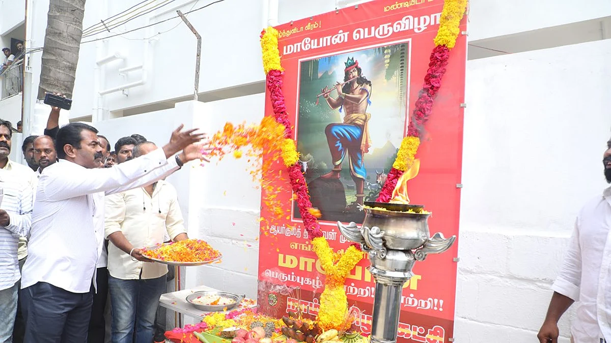 `நான் கருணாநிதியின் மகன் என்கிறார் ஸ்டாலின்; அதனால்தான் சந்தேகமாக இருக்கிறது’- கொந்தளிக்கும் சீமான்!