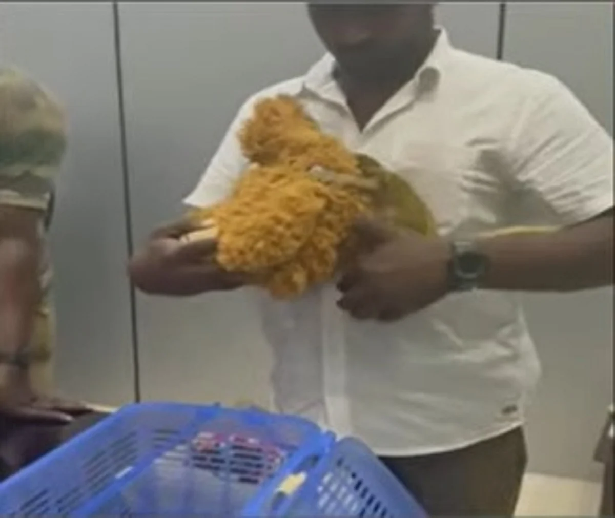 சென்னை ஏர்போர்ட்டில் ராஜநாகம், ஆமை, குரங்கு பறிமுதல்: சுங்கத்துறை அதிகாரிகள் அதிர்ச்சி