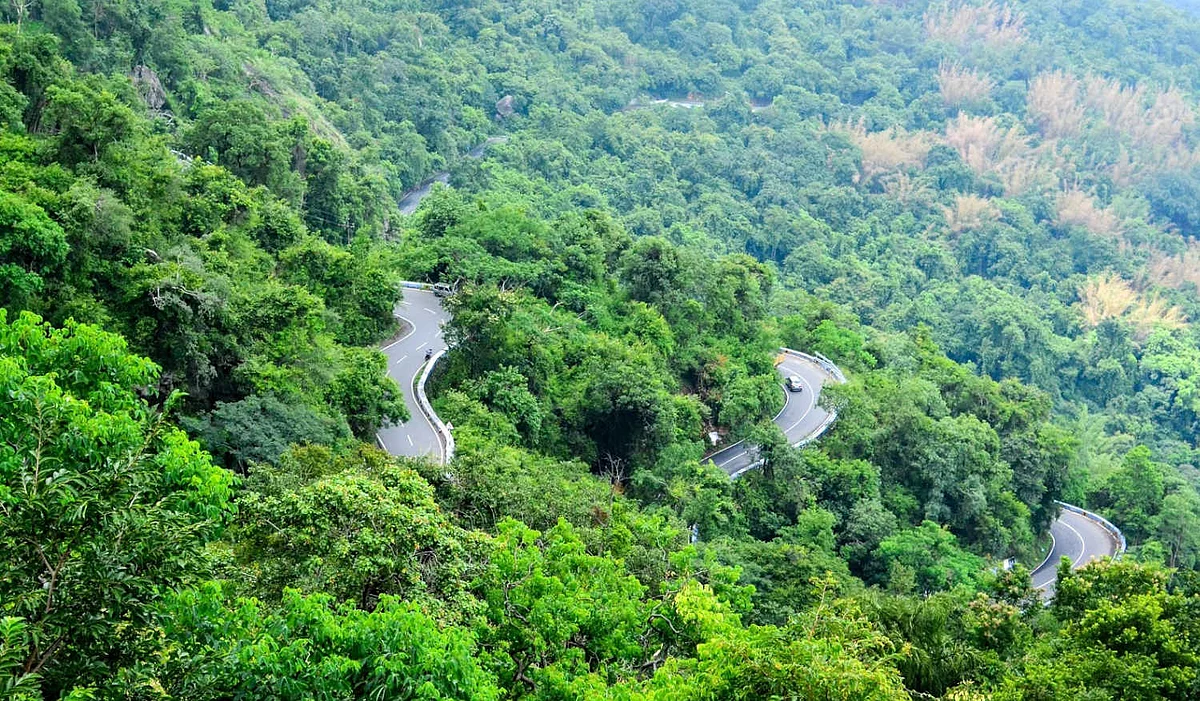 ரைட் லாரிகள் போகலாம்; ஏற்காட்டில் மரம் கடத்தியவர்களிடம் லஞ்சம்: வசமாக சிக்கிய வனக்காப்பாளர்