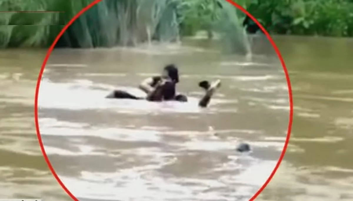 தங்கைக்காக தங்கள் உயிரை துச்சமாக கருதிய சகோதரர்கள்: ஆந்திராவில் நெகிழ்ச்சி சம்பவம்