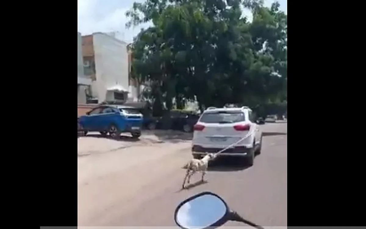 காரில் கட்டப்பட்டு இழுத்துச் செல்லப்பட்ட நாய்; மருத்துவரின் கொடூர செயல்: வைரலாகும் வீடியோ