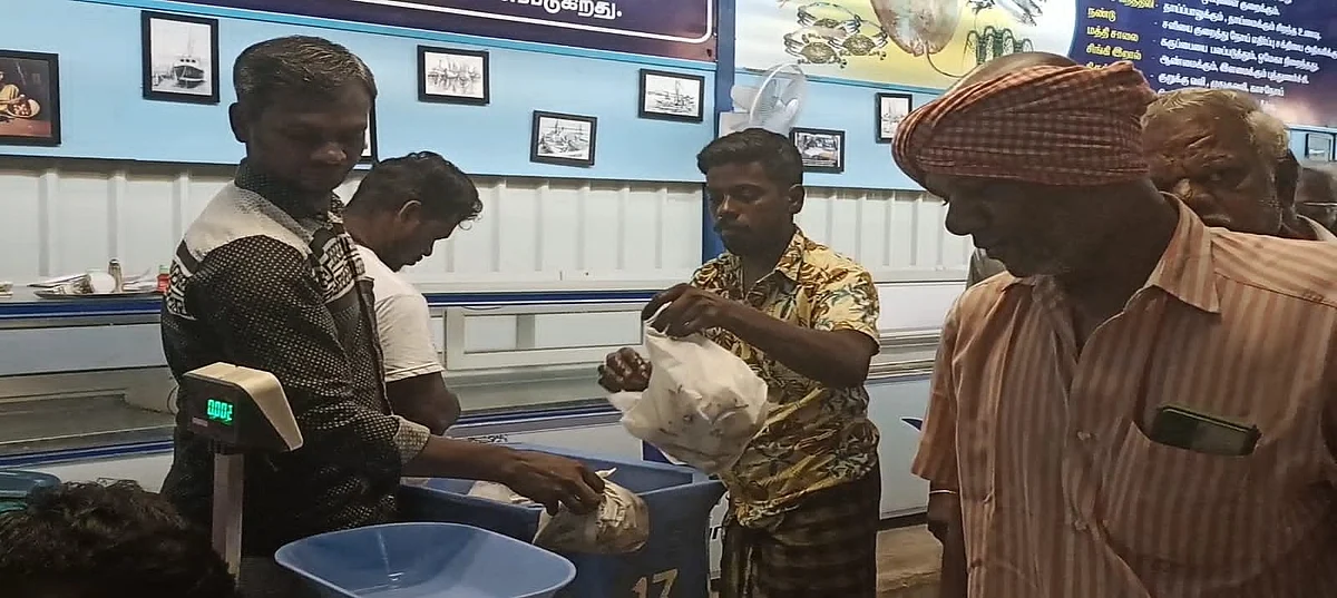 விற்பனை செய்யப்படும் மீன்கள்