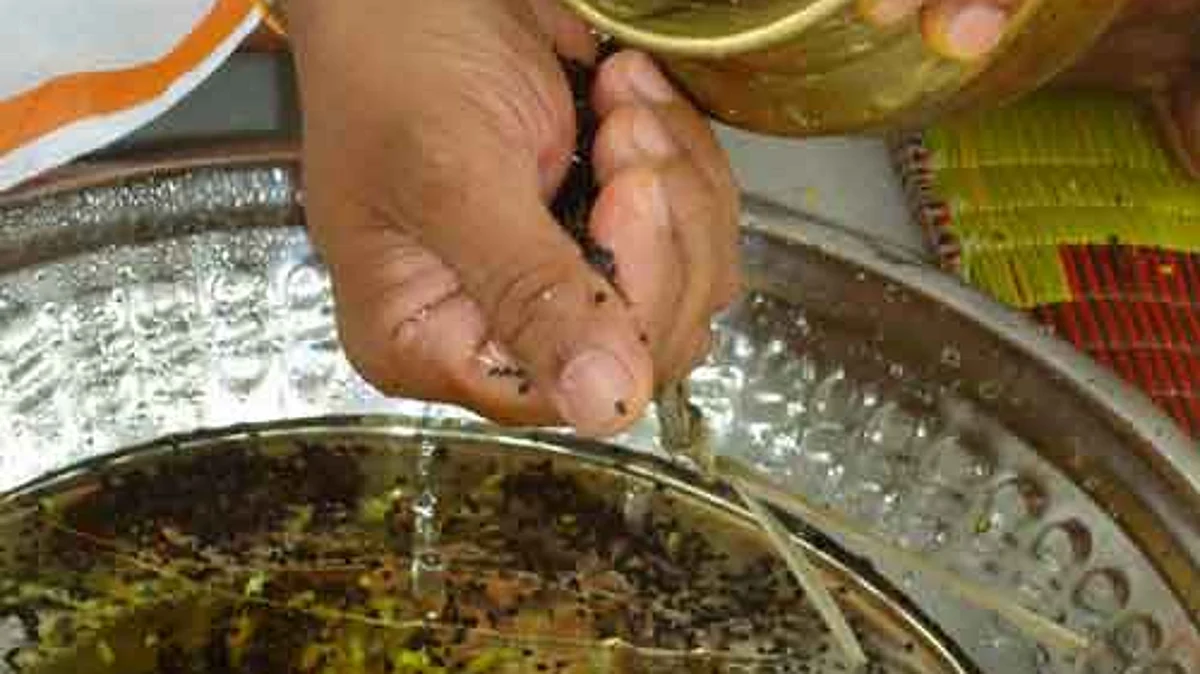 மகாளய பட்ச ஏகாதசியில் முன்னோர் வழிபாடு அவசியம்!