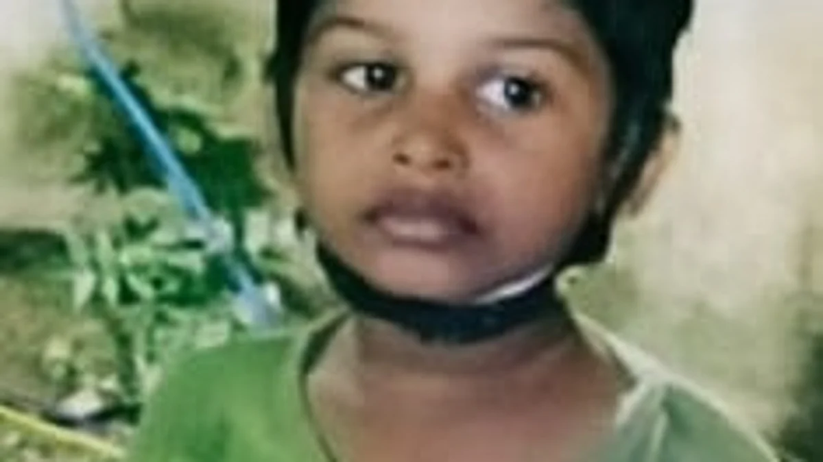 சென்னையில் 4 வயது சிறுவனை கொன்றது குதிரை: விளையாடிக் கொண்டிருந்தபோது நடந்த பயங்கரம்