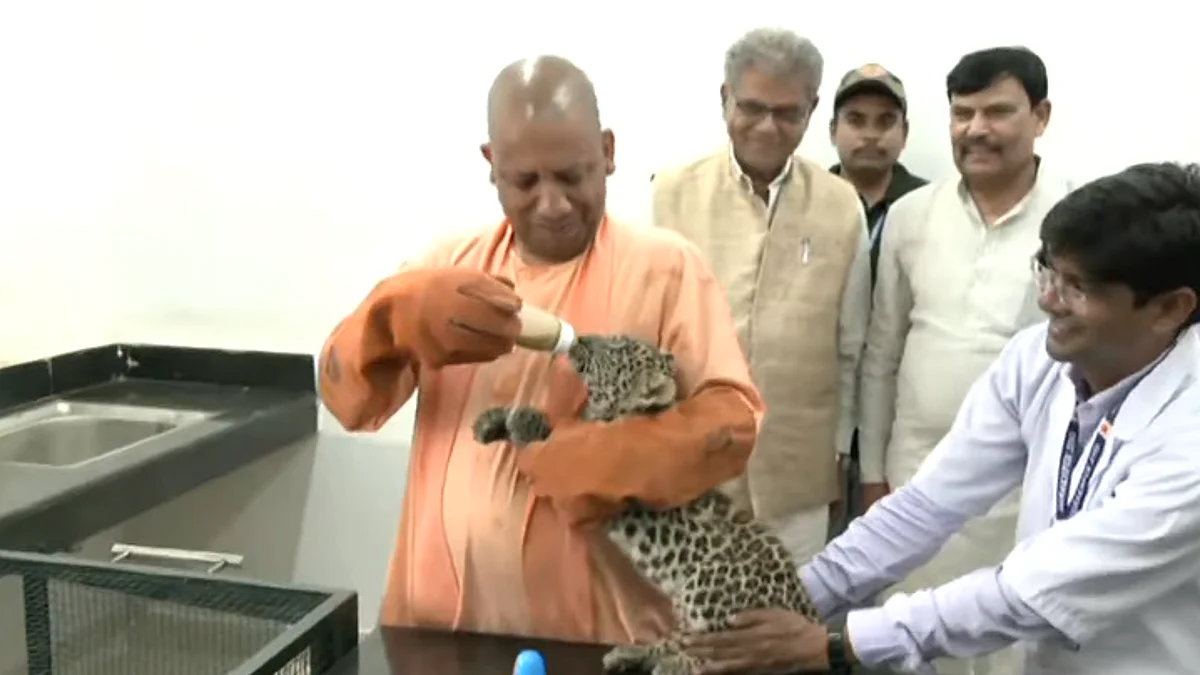 சிறுத்தை குட்டிக்கு பால் ஊட்டிய உத்தரபிரதேச முதல்வர் யோகி ஆதித்யநாத்: வைரல் வீடியோ!