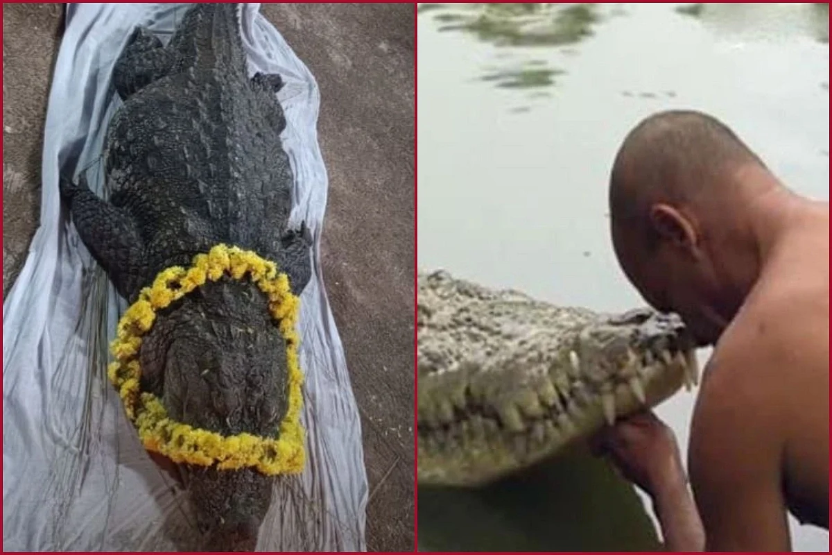 கேரள கோயில் குளத்தில் வசித்த சைவ முதலை மரணம்: நூற்றுக்கணக்கானோர் அஞ்சலி