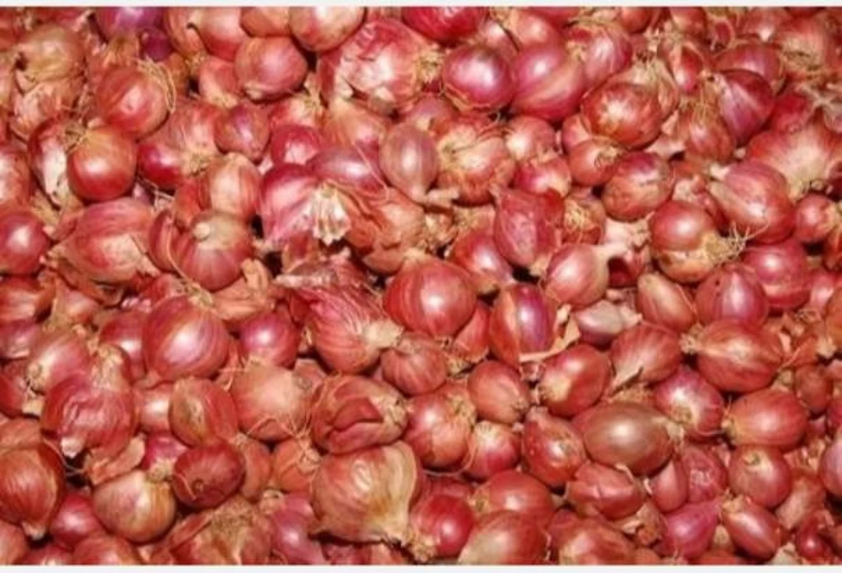 நெருங்கி வரும் தீபாவளி: எகிறும் சாம்பார் வெங்காய விலை!