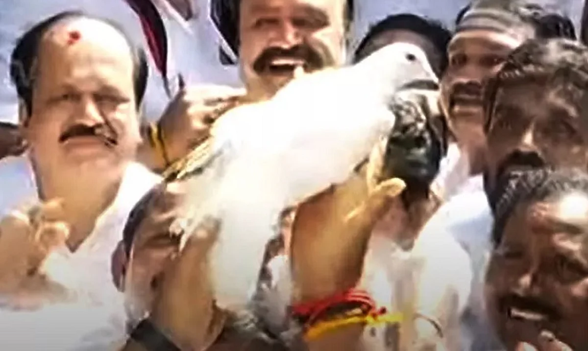 எம்ஜிஆர் இல்லத்தில் சமாதானப் புறாவை பறக்கவிட்ட ஓபிஎஸ்: ஈபிஎஸ் அணிக்கு பச்சைக்கொடியா?