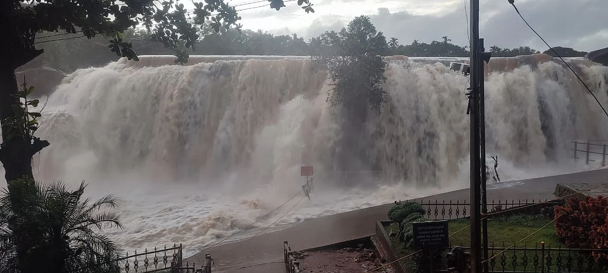 திற்பரப்பு அருவியில் பெருக்கெடுத்து பாயும் வெள்ளம்
