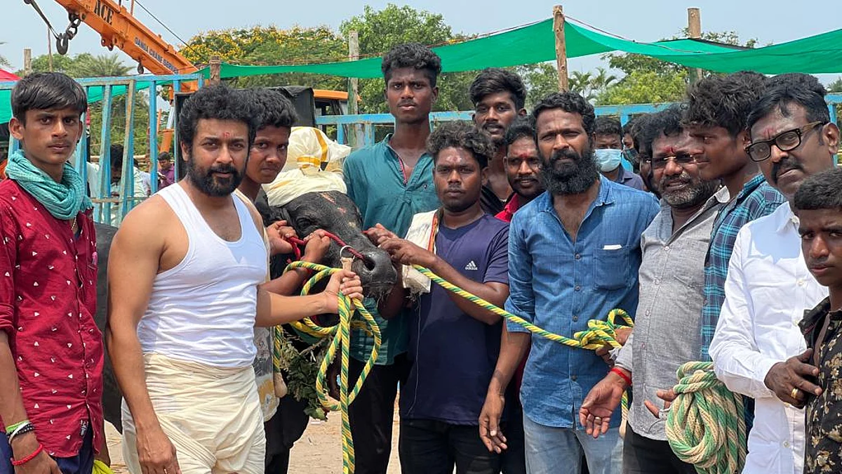 `வணங்கான்’ அடுத்து `வாடிவாசல்’ படமும் கைவிடப்படுகிறதா?