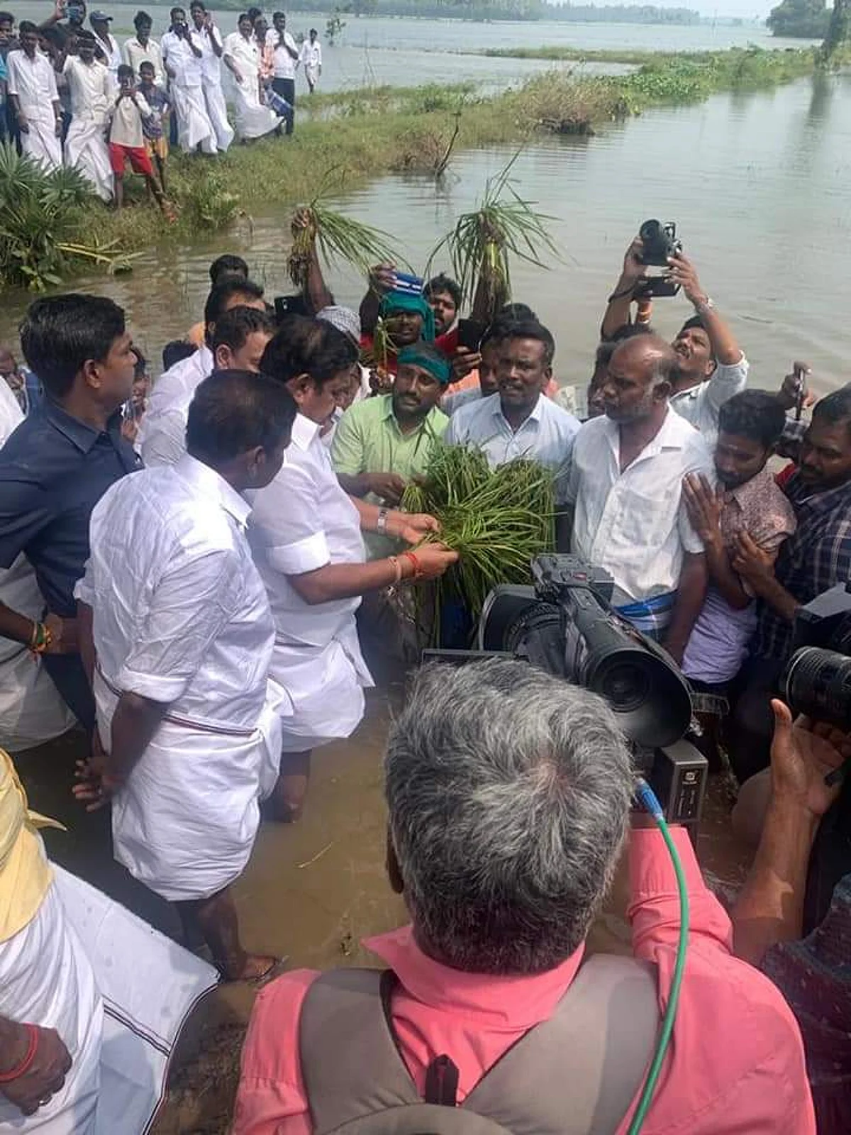 பாதிக்கப்பட்டுள்ள பயிர்களைப் பார்வையிடும் ஈபிஎஸ்
