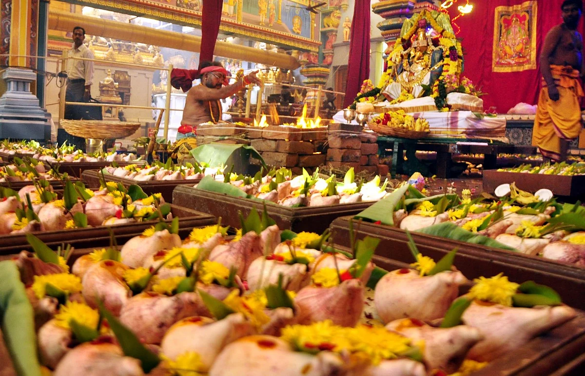 சுபிட்சம் தரும் சங்கு; தோஷம் நீக்கும் சங்கு!