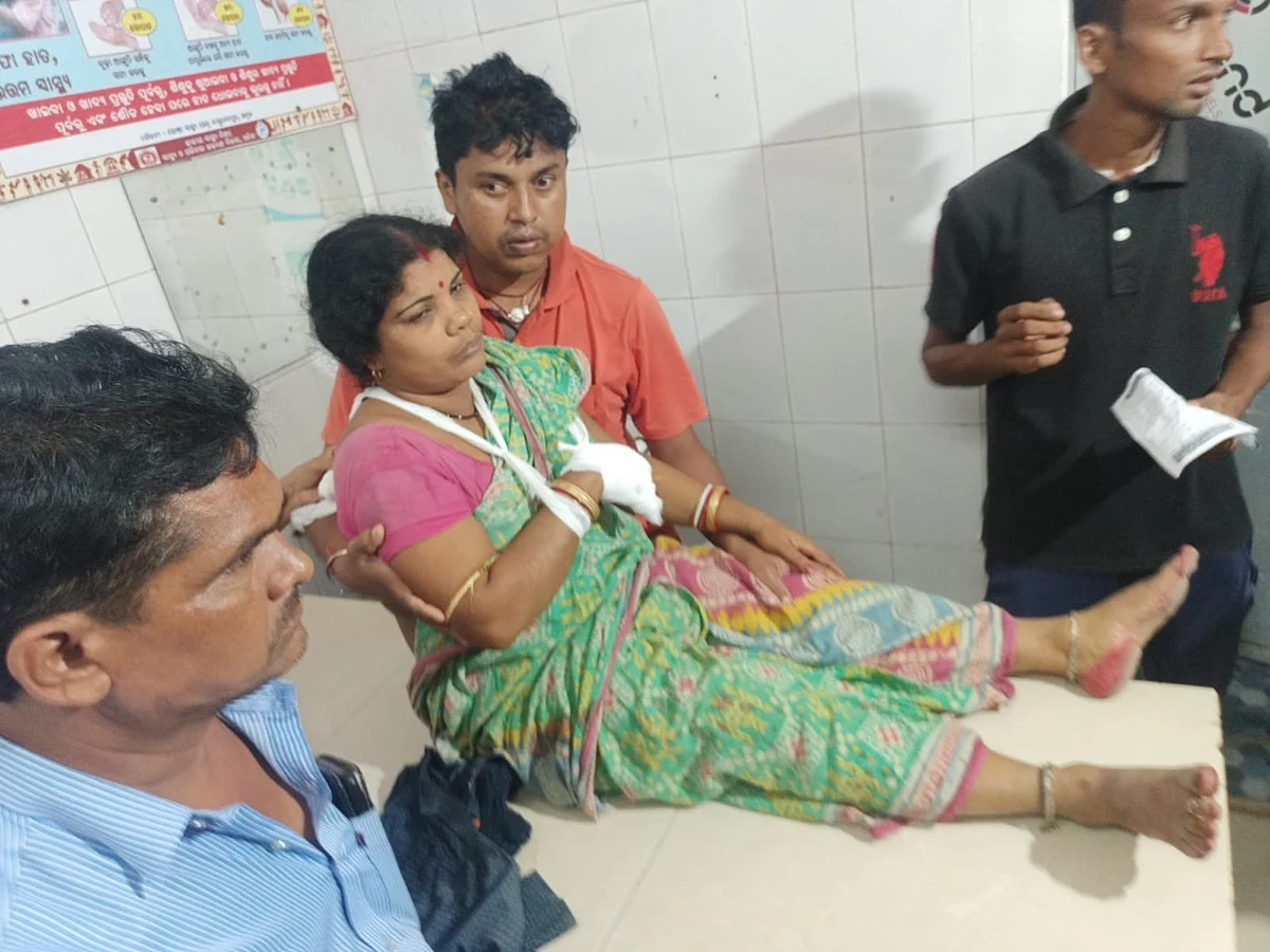 ஆறு வயது சிறுமியை பைக்கில் கடத்த முயற்சி: தடுக்க முயன்ற தாய் மீது மர்மநபர்கள் துப்பாக்கிச்சூடு