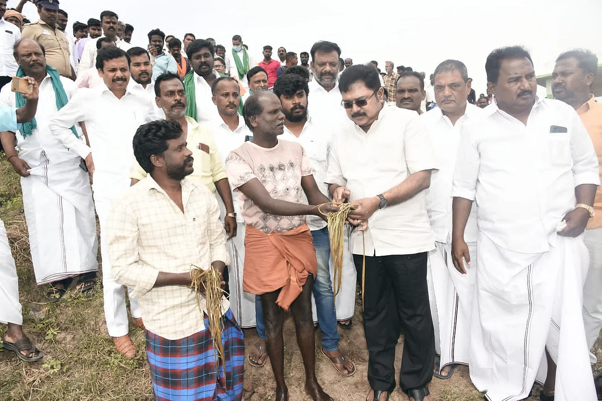 ஜெயலலிதாவிற்கு மட்டுமின்றி பாஜகவிற்கும் ஈபிஎஸ் துரோகம் செய்கிறார்: டி.டி.வி.தினகரன் குற்றச்சாட்டு