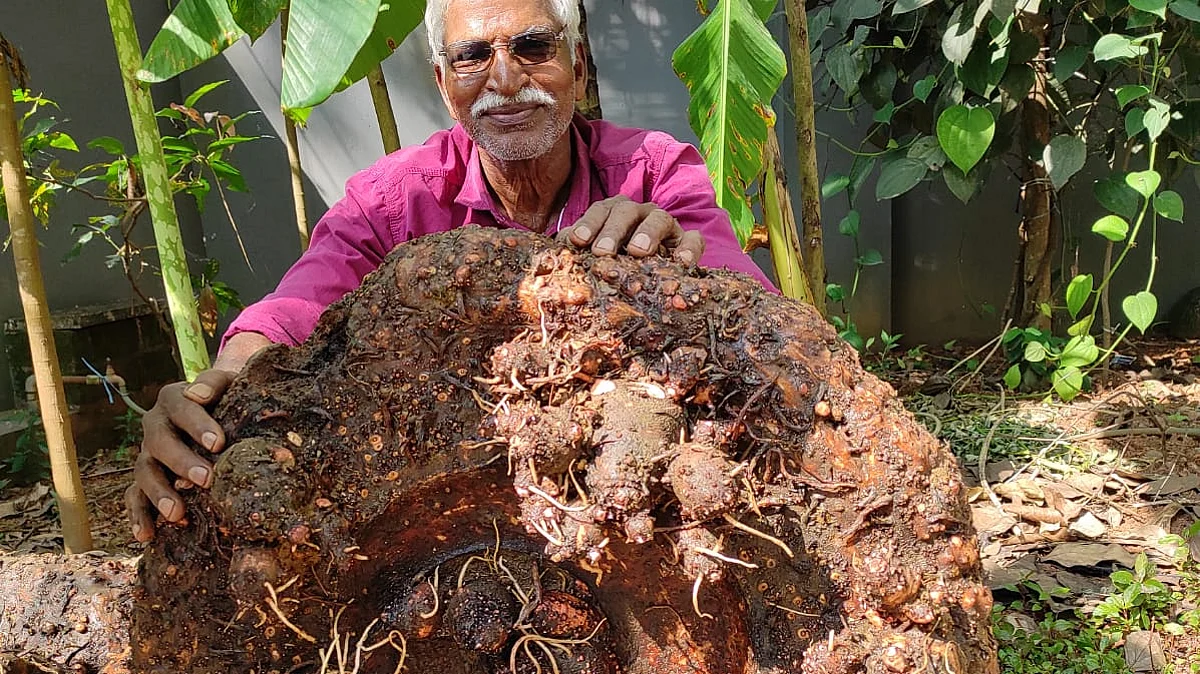 சேனையுடன் வில்சன்