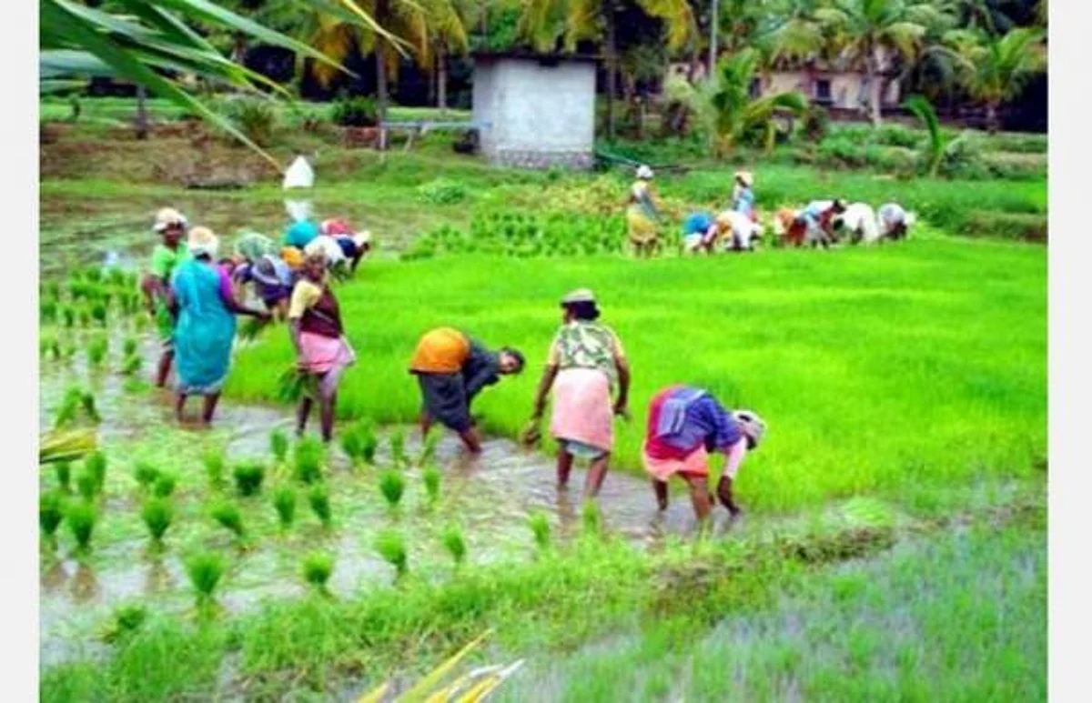 'அது, இதுல வராது': மத்திய அமைச்சரின் பதிலால் டெல்டா விவசாயிகள் அதிர்ச்சி