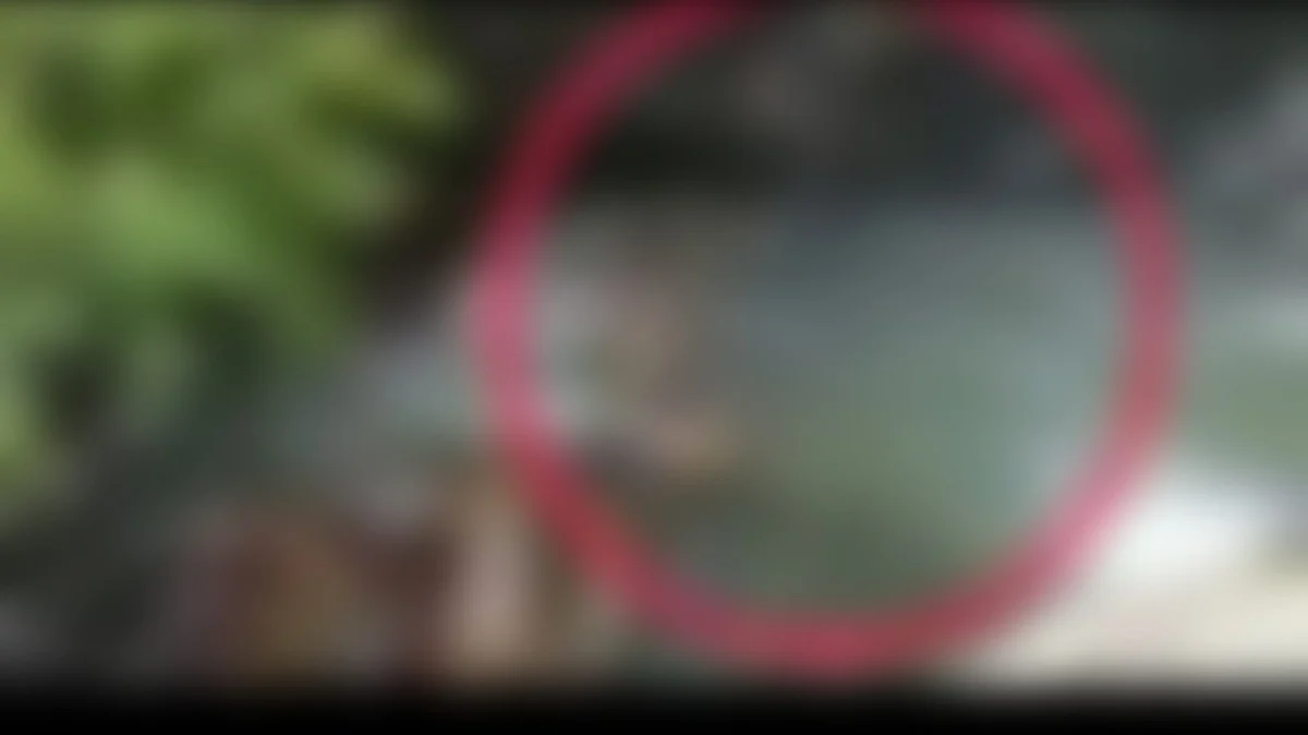 குற்றாலம் அருவியில் தவறி விழுந்து இழுத்துச் செல்லப்படும் குழந்தை: வைரலாகும் வீடியோ