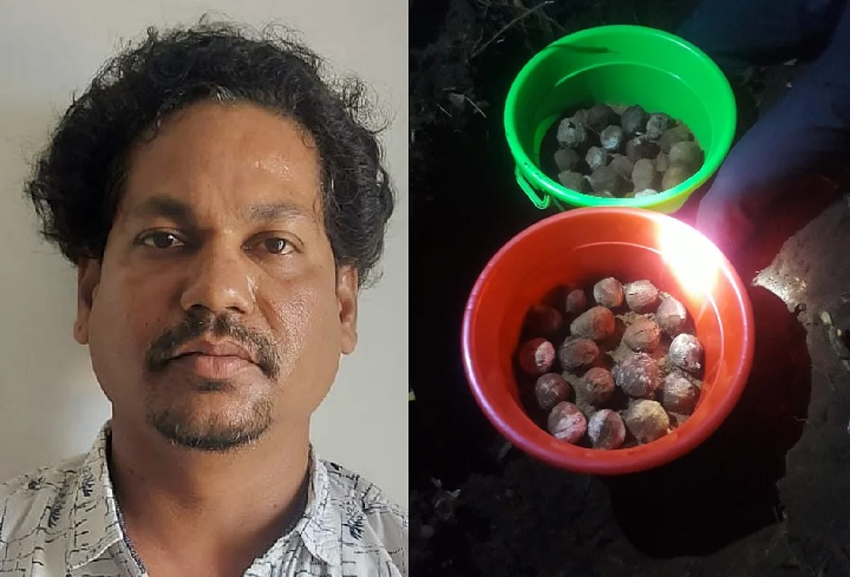 சுற்றிவளைத்த போலீஸ்; தப்பியோடிய பிரபல ரவுடிக்கு கை, கால் உடைந்தது: 40 நாட்டு வெடிகுண்டு, அரிவாள் பறிமுதல்