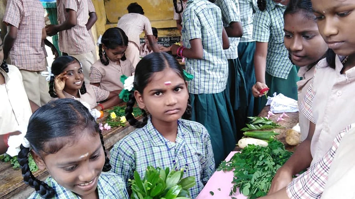 மாணவர்களின் மாதிரி சந்தை