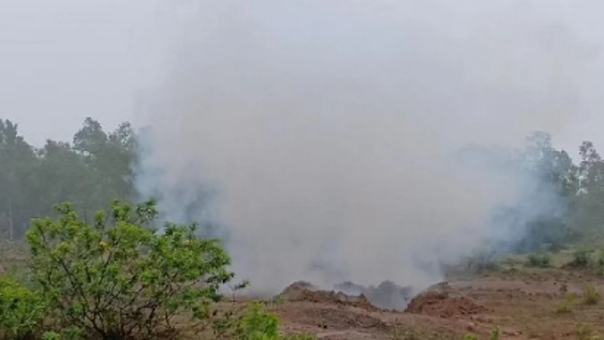 ஒரே நேரத்தில் வெடித்துச் சிதறிய 34 நாட்டு வெடிகுண்டுகள்: கூட்டாளிகளுடன் சிக்கிய ரவுடி