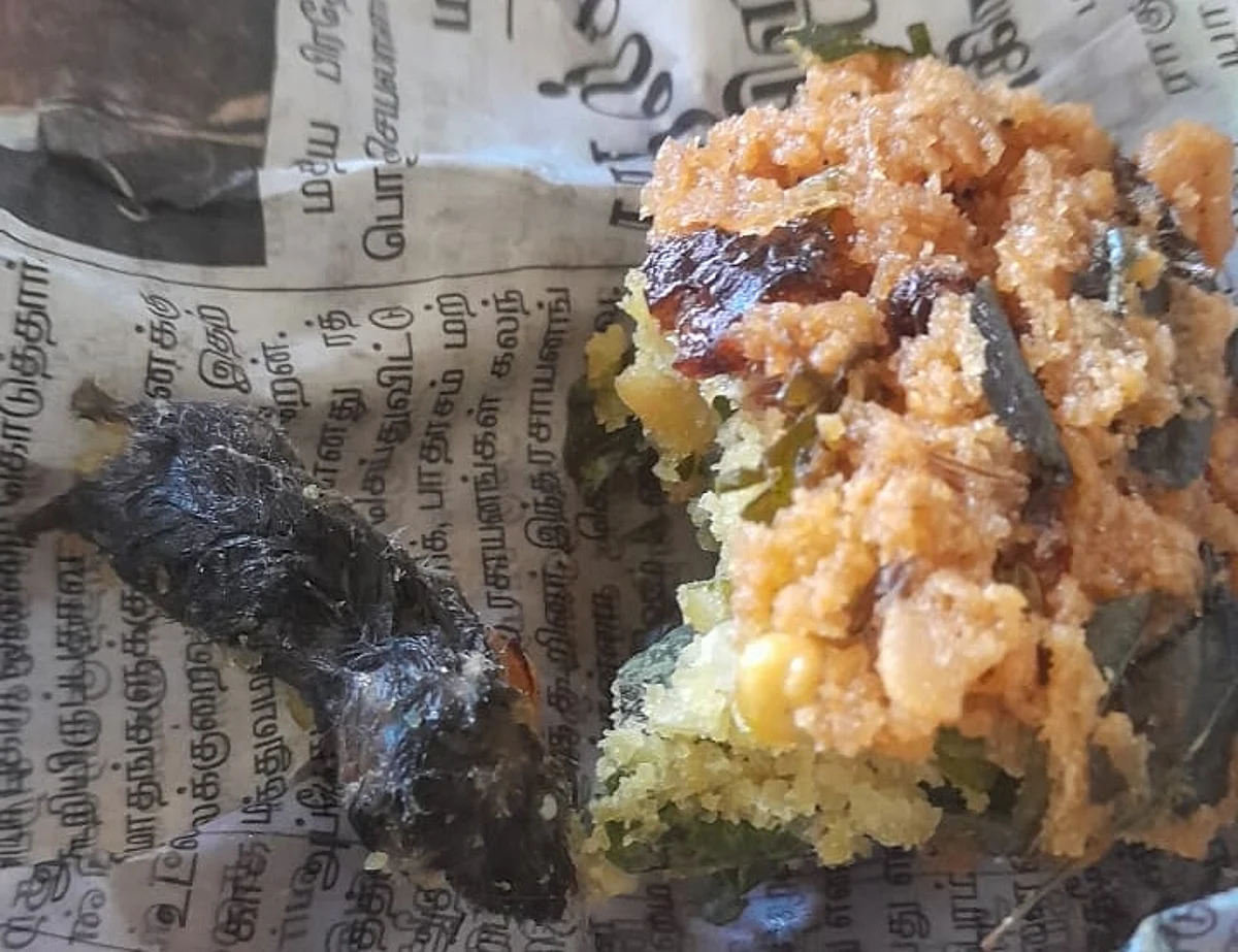 வடை பார்சலில் கிடந்த எலியால் பதறிய வாடிக்கையாளர்; கெஞ்சிய கடை ஓனர்: நடந்தது என்ன?