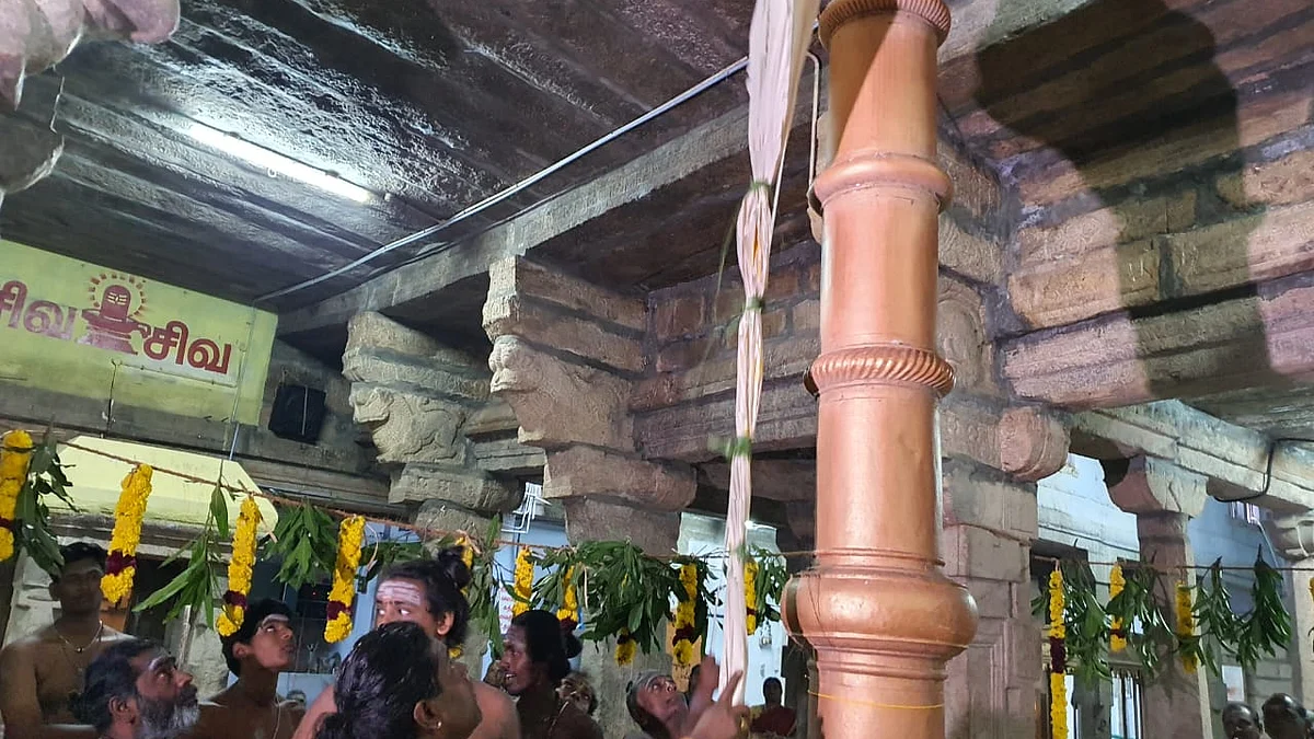 நெல்லையப்பர், செப்பறை அழகிய கூத்தர் கோயில்களில் திருவிழா கொடியேற்றம்!