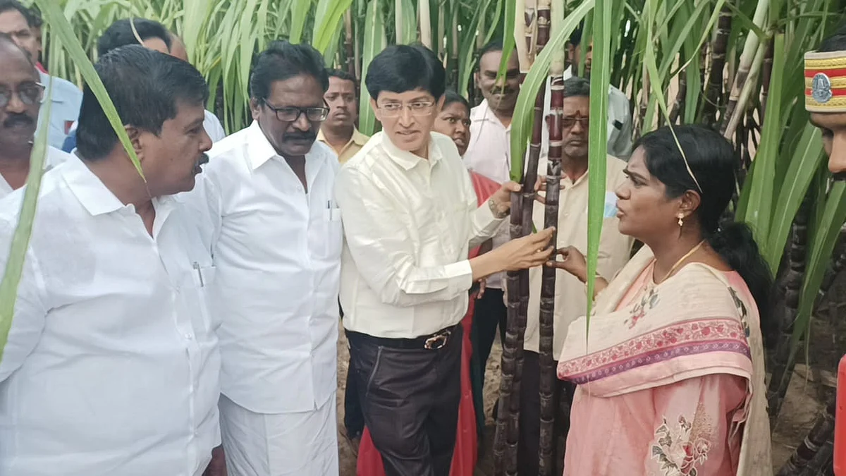 கரும்பு வயலில் ராதாகிருஷ்ணன் உள்ளிட்டவர்கள்