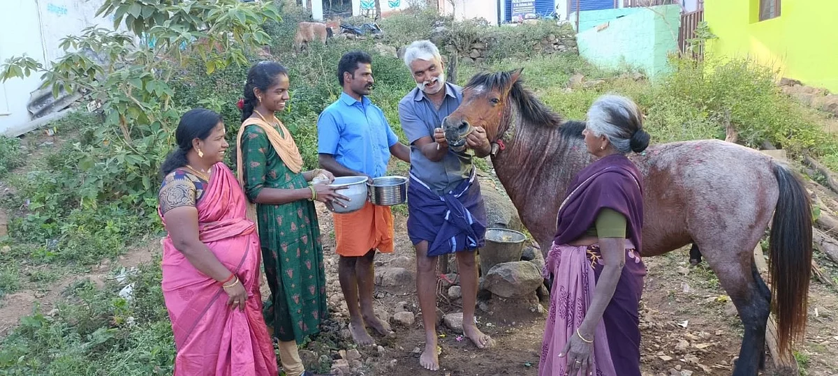 சிறுமலையில் மலைவாழ் மக்கள் கொண்டாடிய குதிரைப்பொங்கல்!
