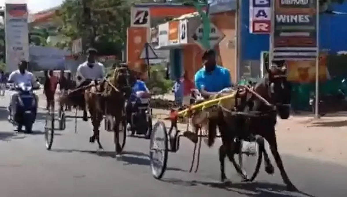 குதிரை வண்டி பந்தயம்