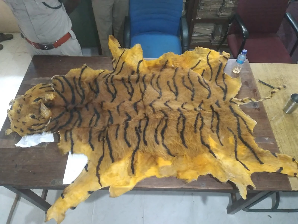வண்ண நிறத்தில் புலித்தோலை விற்க முயன்றவர் கைது: