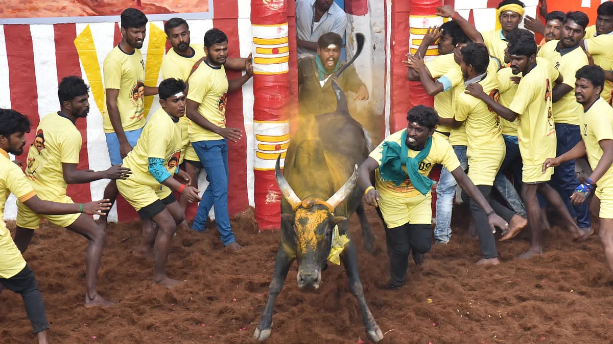 உலகப் புகழ்பெற்ற அலங்காநல்லூர் ஜல்லிக்கட்டு தொடங்கியது: அமைச்சர் உதயநிதி ஸ்டாலின் பங்கேற்பு