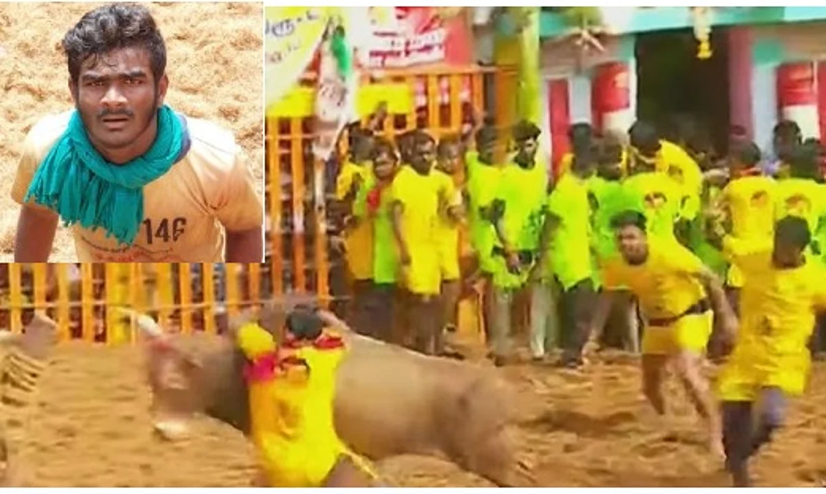 பாலமேடு ஜல்லிக்கட்டில் 11 காளைகளை அடக்கிய மாடுபிடி வீரர் காயம்: 3-ம் இடம் பிடித்தவர் மருத்துவமனையில் அனுமதி