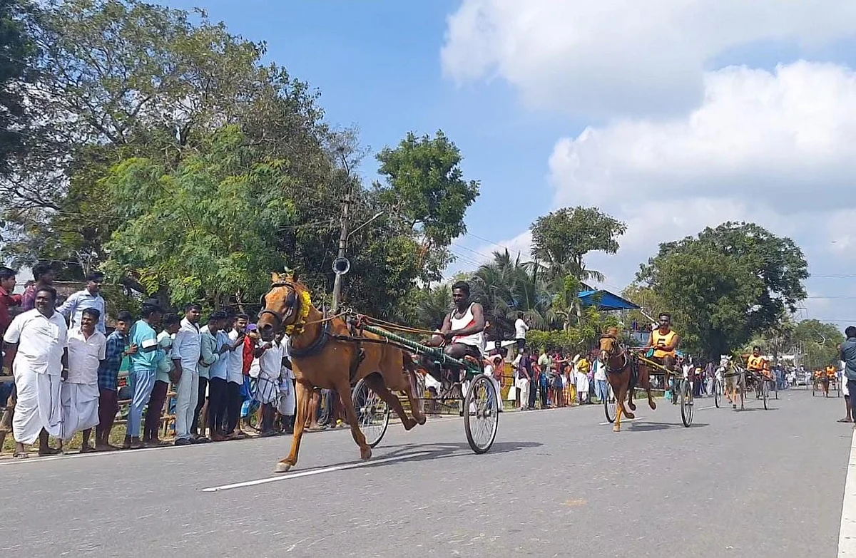 3 ஆண்டுகளுக்குப் பிறகு திருக்கடையூரில் ரேக்ளா ரேஸ்!