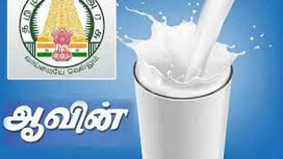 அதிமுக ஆட்சியில் லஞ்சம் கொடுத்து பணியில் சேர்ந்ததாக புகார்: தமிழகம் முழுவதும் ஆவினில் 236 ஊழியர்கள் பணிநீக்கம்