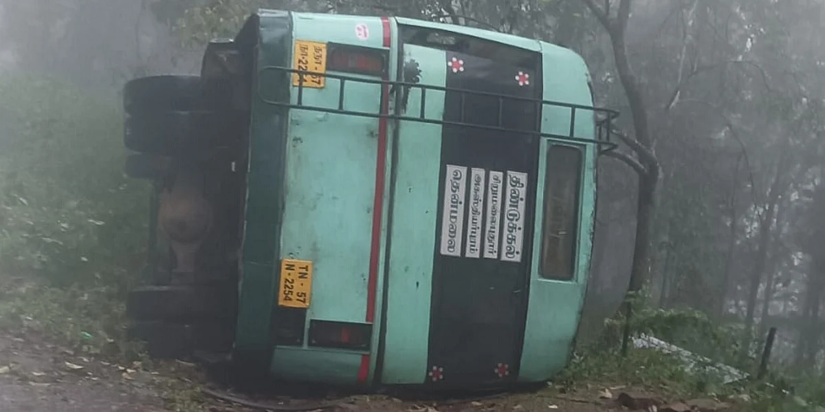 காட்டுமாடு குறுக்கிட்டதால் கவிழ்ந்த அரசு பஸ்; அலறியப் பயணிகள்: மலைச் சாலையில் சென்றபோது விபரீதம்