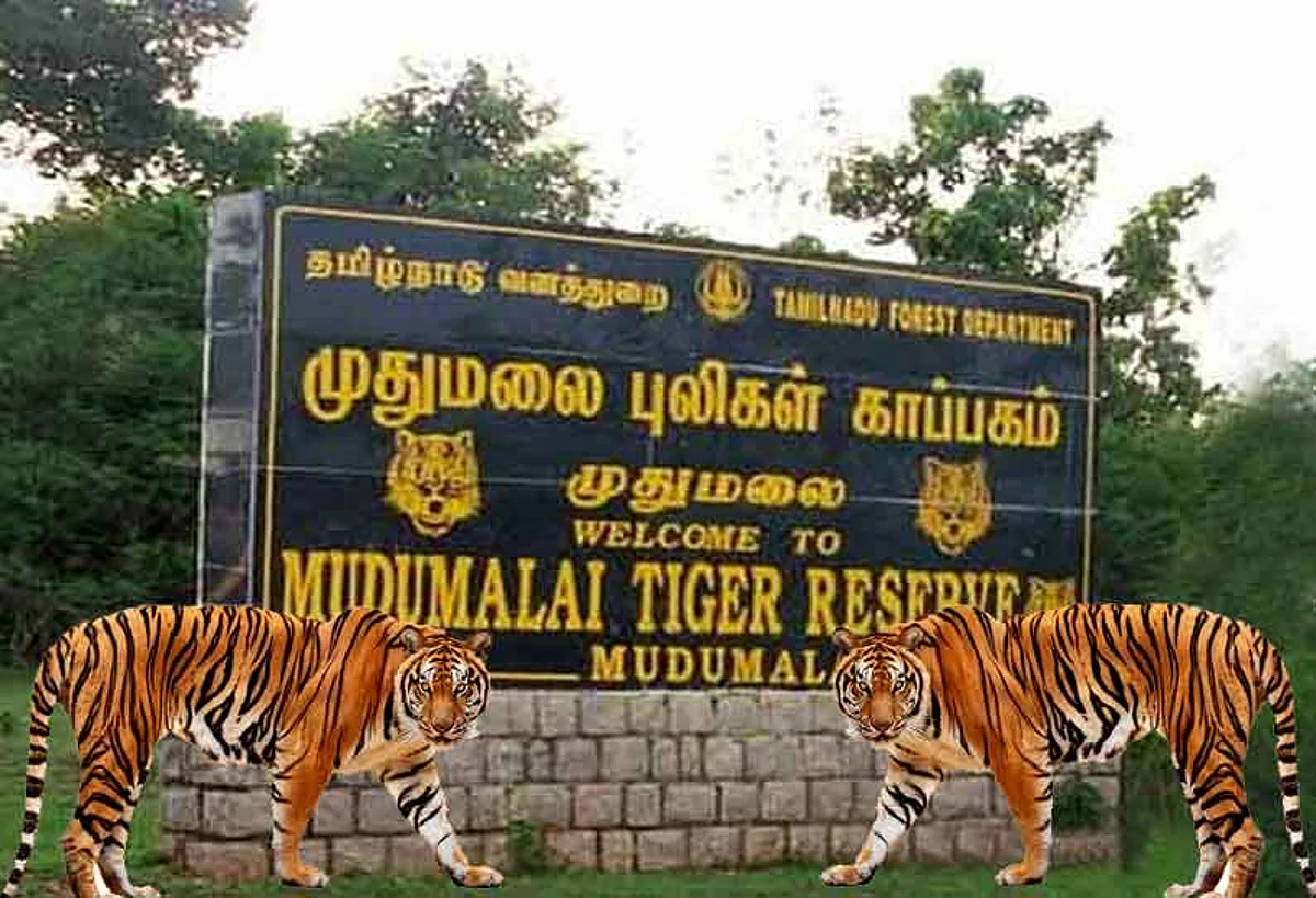காப்புக் காடுகளுக்கு பாதிப்பை ஏற்படுத்தும் அரசாணையை ரத்து செய்யுங்கள்: முதல்வருக்கு கோரிக்கை விடுக்கும் முன்னணி தலைவர்கள்