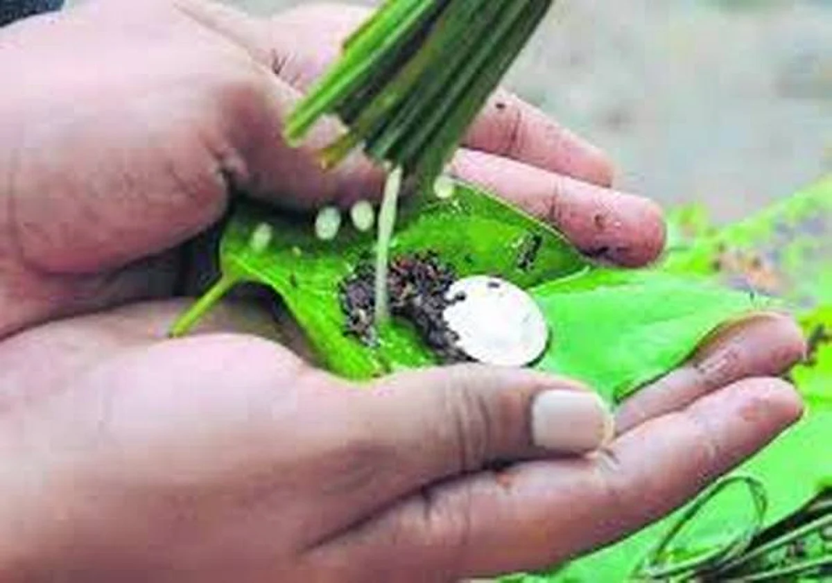 தை அமாவாசை : புண்ணியம் சேர்க்கும் முன்னோர் வழிபாடு!