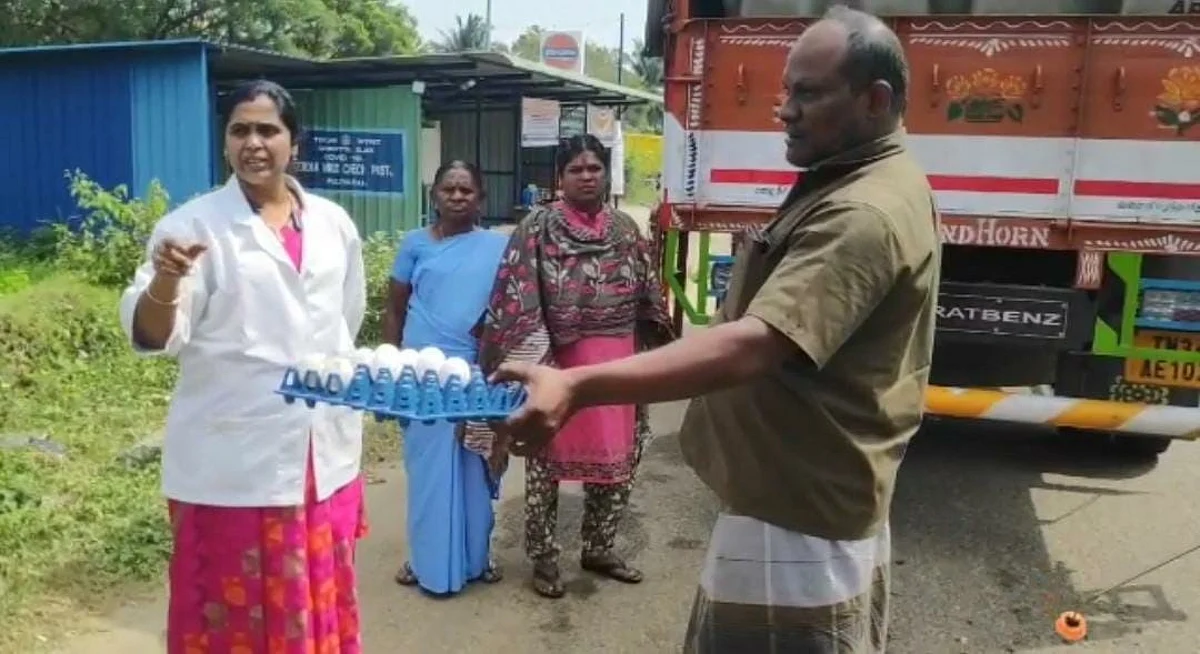 ஆப்ரிக்கன் பன்றிக்காய்ச்சல்: தமிழக -கேரள எல்லைப் பகுதியில் கண்காணிப்பு தீவிரம்