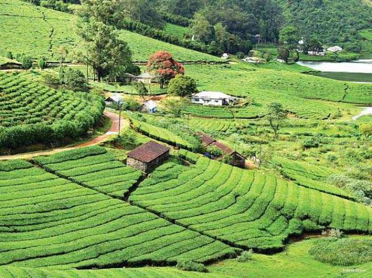மதுரை to தேனி வழி ஆண்டிபட்டி
