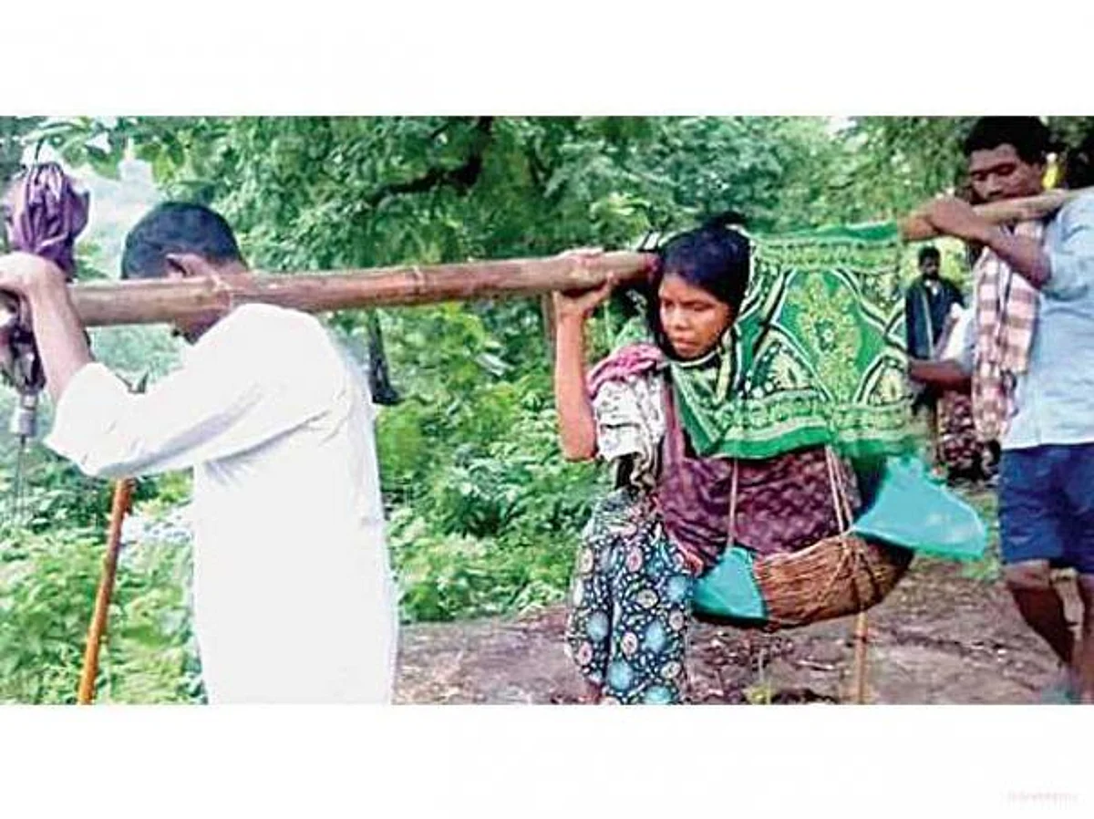 ஜிந்தம்மாக்களின் நிலையையும் நினைத்துப் பாருங்கள்!