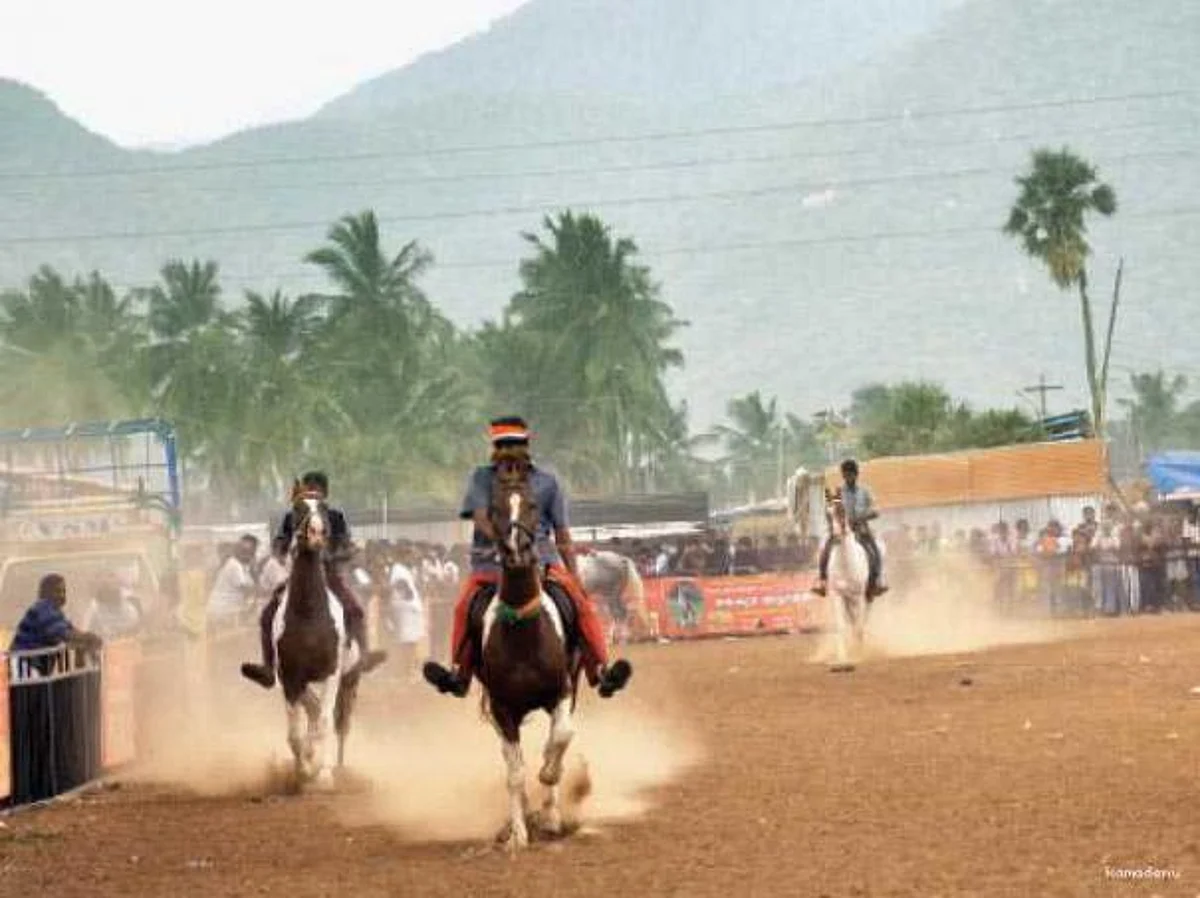 என்னை வாங்கு யோகம் வரும்: அந்தியூர் குதிரைச் சந்தையும் ‘அஸ்வ’ ரகசியமும்!