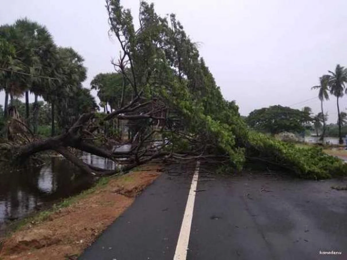 மீட்புப் பணிகளும் இதே வீச்சில் தொடரட்டும்!