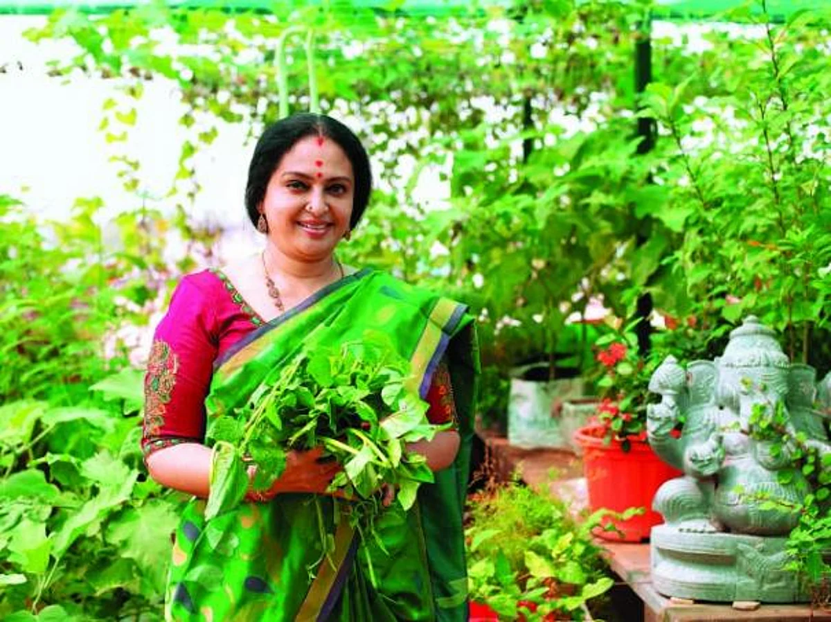 இந்தப் பூஞ்சோலையே எனக்காகத்தான்!- சீதாவின் மனதை அள்ளும் மாடித் தோட்டம்