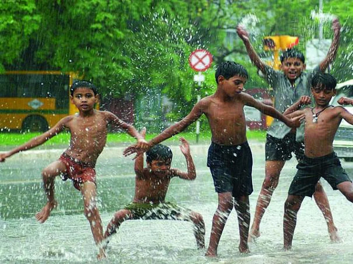 நிழற்சாலை