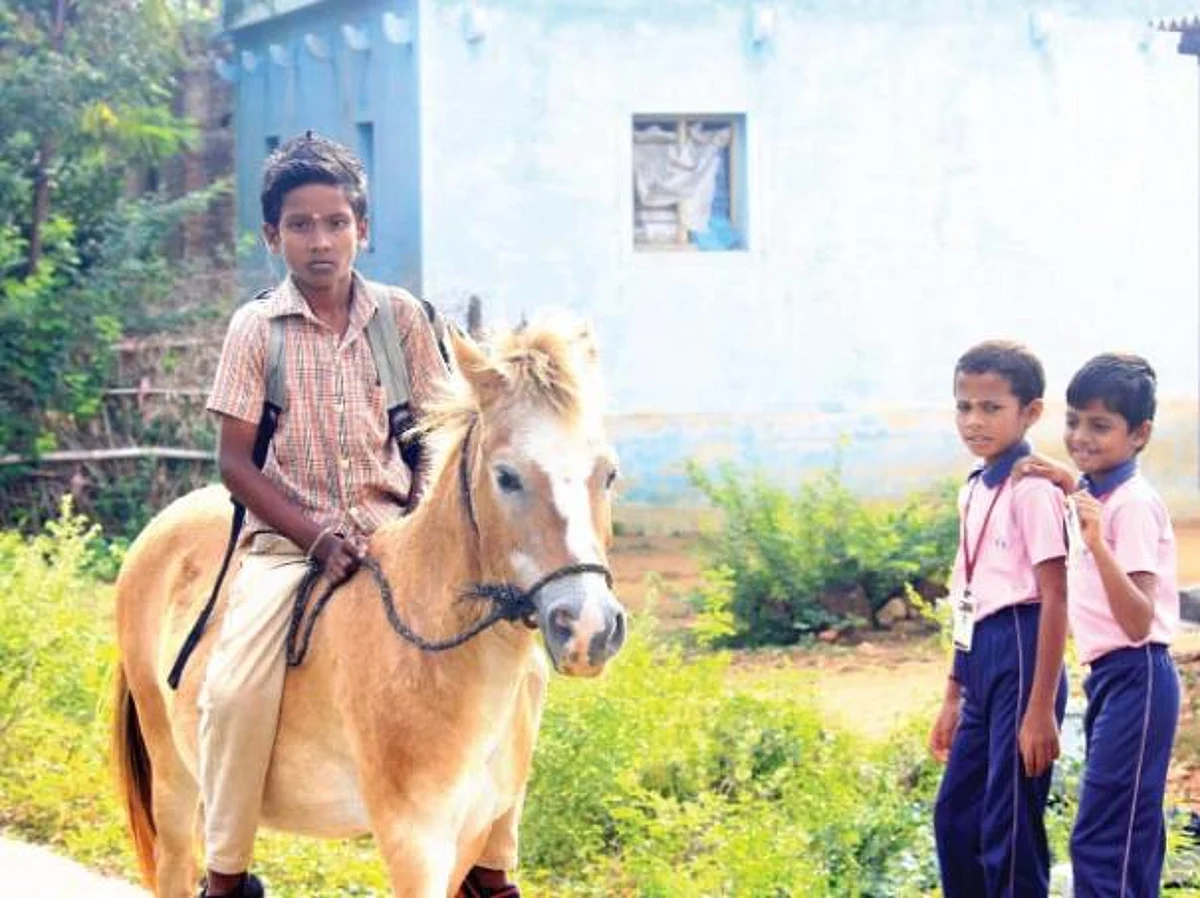 ஆடி அசைஞ்சு வருது அழகர்சாமி குதிரை!