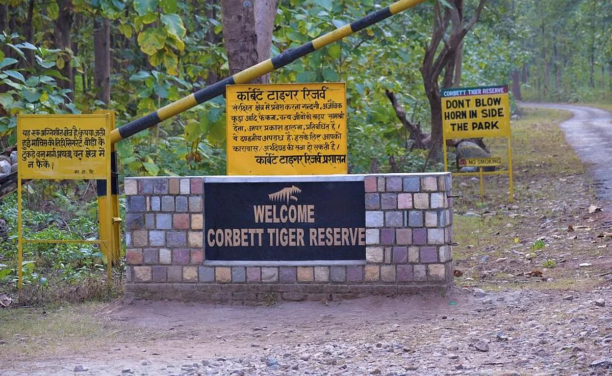 जिम कार्बेट नेशनल पार्क में नाईट स्टे पर लगी रोक, ढिकाला जोन से जंगल में प्रवेश भी बंद